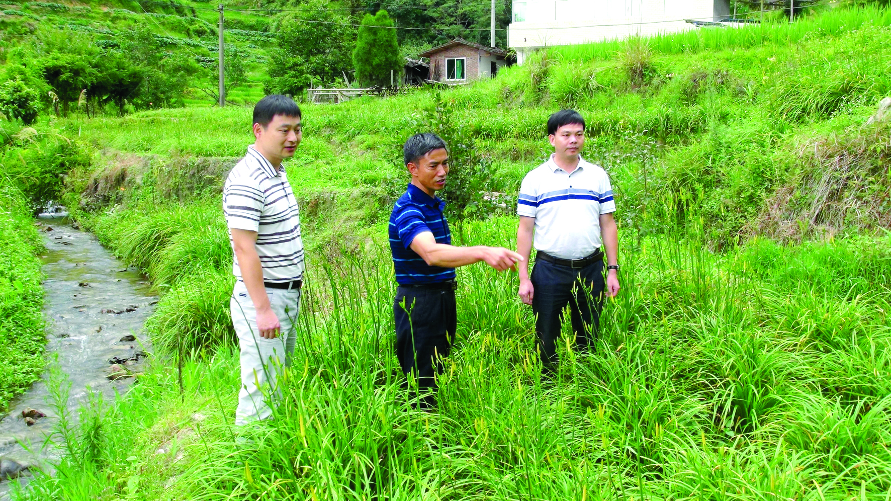 林国旺（右）到古春村指导黄花菜生产.jpg