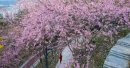 王建德/摄